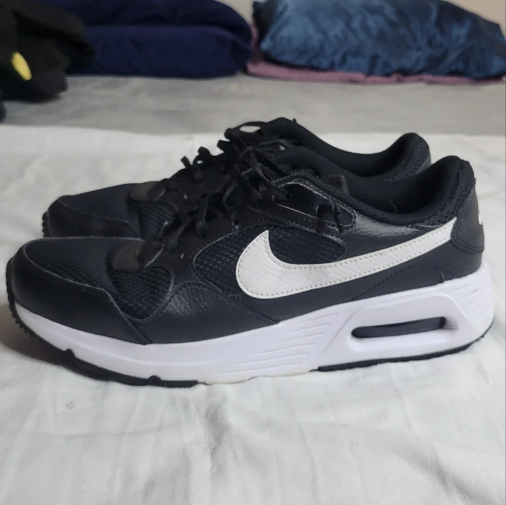 Nike Air Max Sc Low